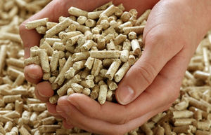 Granulés de bois de pin haute performance avec faible teneur en cendres et haut rendement calorifique, directement de l'usine au Vietnam pour l'alimentation électrique de l'UE - Product Image 2