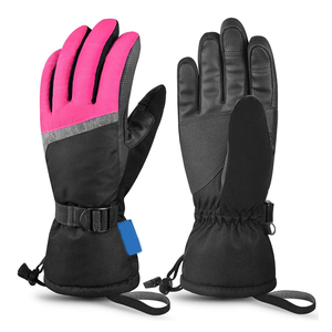 Confortable Dernières Nouvelles Arrivée Gants De Ski En Gros Gants Chauds en Top Qualité Personnalisé Main De Protection Gants De Sport - Product Image 3