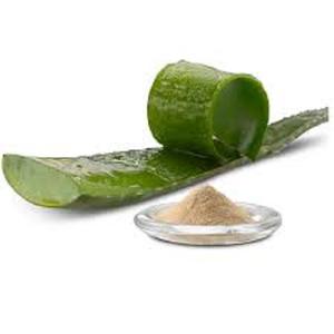 Natural Aloe Vera Extract 200x for Skin Care Cosmetic Ingredients Aloe Vera Gel Freeze Dried Powder From India - Product Image 4