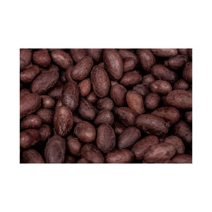 Fèves de cacao sèches biologiques naturelles de qualité pure à vendre à un vendeur de confiance au prix de gros - Product Image 2