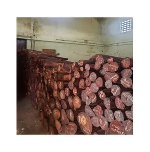 High Quality Raw Sandalwood Logs Zitan Wood for Medical Use and Furniture Exported by Indian Supplier at Convenient Price