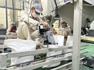 Arroz fragante de jazmín Premium Arroz perfumado 5% 15% 100% arroz blanco roto Riz perfume au Jasmin/arroz KDM-ANNA DO W/A + 84982153058 - Product Image 5