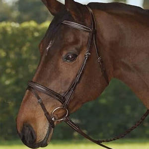 Construire une bride Flash muserolle pour chevaux culottes couleur marron chocolat Construction en cuir de qualité supérieure ajustement réglable anglais - Product Image 2
