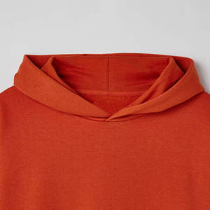 Premium 100% algodón ecológico de gran tamaño polar invierno Sudadera con capucha único patrón sólido Puff impreso ropa de calle de alta calidad - Product Image 4