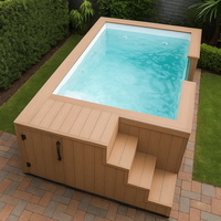 Piscina Pequeña para Patio Trasero, Spa, Piscina de Inmersión, Ventana de Vidrio Acrílico, Casa para Niños, Piscina Elevada para Exteriores en Venta