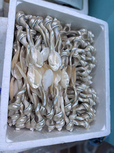 ช้อนศิลปะช้อนไข่มุกช้อนเปลือกหอยสำหรับการสั่งซื้อที่กำหนดเอง - Product Image 3