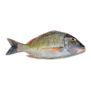 High Manufacturer Hot New Fresh Emperor frozen Fish made Company precio caliente y la mejor calidad natural - Product Image 3