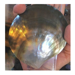 Coquillages en nacre de qualité supérieure du Vietnam Technique polie Prix compétitifs pour une décoration de bijoux exclusive - Product Image 1