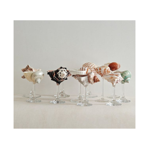 Cadeau marin poli de tasse de coquille de conque véritable pour les amoureux de l'océan - Product Image 3