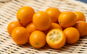 PURE DE CALAMANSI PURO Y NATURAL-DIRECTO DE VIETNAM-ASEQUIBLE Y DE EXPORTACIÓN-LISTO-CALIDAD DE GRADO SUPERIOR EXPORTACIÓN LOCAL - Product Image 3