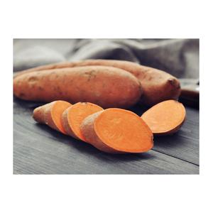 Organic Fresh Yams Alta calidad Delicious Healthy White 25cm Francia - Product Image 1