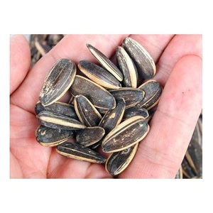 Graines de tournesol en gros, grandes, noires et blanches, 361 graines de tournesol brutes - Product Image 2