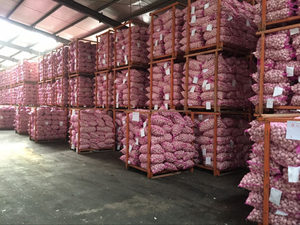 กระเทียมแห้งเวียดนาม อันเจียง 100% ธรรมชาติ อายุการเก็บรักษา 12 เดือน พร้อมใช้ มาตรฐานส่งออก สำหรับขายส่ง - Product Image 3