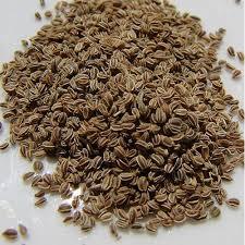เมล็ด ajwain 99.5% ความบริสุทธิ์ขนาด2-3มม. มอบรสชาติและกลิ่นหอมที่เข้มข้นสำหรับการใช้ทำอาหารและประโยชน์ต่อสุขภาพ - Product Image 4