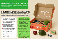 Carton ondulé pour l'exportation de fruits, pour bananes, mangues, agrumes, raisins, pommes, boîte d'expédition robuste