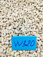 HETE AANBIEDING Verse Rauwe Gedroogde Cashewnoten WW 180/240/320 Stuks HACCP Gecertificeerd 24 Maanden Houdbaarheid Vietnam KPRO Merk