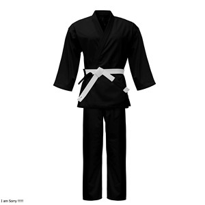 Uniforme de kárate unisex aprobado por la WKF, uniforme de estilo Kendo con logotipo personalizado para artes marciales, uniformes de Taekwondo para hombres - Product Image 1