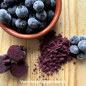 Vente en gros de poudre de jus de myrtille sauvage soluble dans l'eau à 100%/extrait de myrtille pour boisson à un prix abordable - Product Image 1