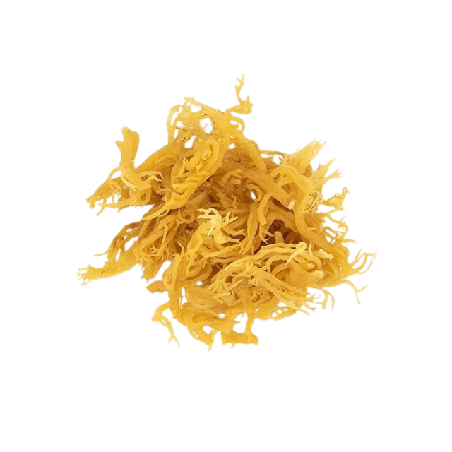 PREMIUM EXPORT SEA MOSS - HIGH STANDARD BAGGED SEAWEED FOR HOT SALES 2025