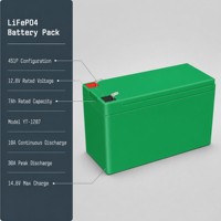 Paket Baterai Lifepo4 Deep Cycle 12.8V 8Ah untuk UPS Kecil, Lampu Jalan Tenaga Surya, Penyimpanan Energi Cadangan, Baterai Lithium Iron Phosphate