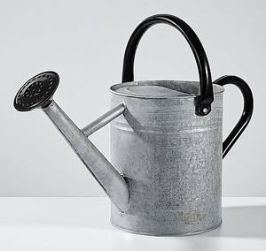 Arrosoir en acier galvanisé en métal blanc avec bec amovible pour le jardinage de plantes d'intérieur et d'extérieur - Product Image 2