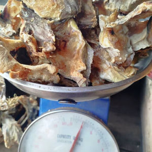 Fournisseur en gros d'aliments marins congelés, séchés, nettoyés et emballés, exportés et conservés - Product Image 1