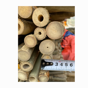 Venta al por mayor de palos de bambú naturales estacas de bambú grandes bastones de bambú bastones para la construcción de gran tamaño - Product Image 1