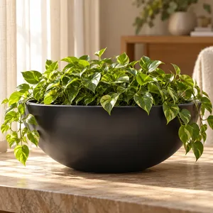 Bac à plantes en fibre de verre Fida Hemisphere Bowl - Product Image 6