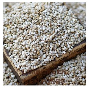 Vente en gros de graines de carthame | Carthamus Seeds Exportation de l'Inde Carthamus tinctorius Exportateur de carthame en vrac - Product Image 5
