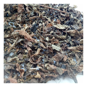 Platostoma palustre ทิ้งไว้เป็นท็อปปิ้งสำหรับชานม - Product Image 1