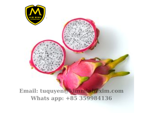 Fruit du Dragon blanc congelé de qualité supérieure Vietnam processus IQF de haute qualité d'exportation modèles de bâton de morceaux entiers eau emballée en vrac - Product Image 5