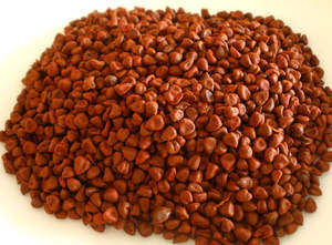 Graines d'annatto séchées de haute qualité du Vietnam Graines biologiques de traitement brut - Product Image 3