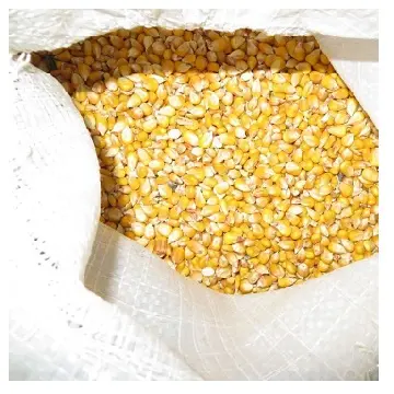 Qualità Premium dal produttore diretto di mangimi per bovini mais giallo/farina di soia e farina di mais in vendita