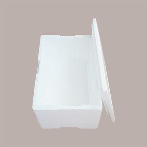 Caja Térmica de Poliestireno Bianco 60x37,5 cm H 26,5 cm, Bolsa para Alimentos Frescos o Congelados, Transporte de Alimentos, Poliestireno - Product Image 2