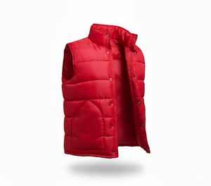 Chaleco Acolchado Grueso de Algodón para Mujer al por Mayor, con Cremallera, para Invierno, Casual, Prenda Exterior - Product Image 1