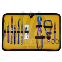 Kit d'outils de fragmentation corail en acier inoxydable personnalisable avec couleurs de titane arc-en-ciel conceptions personnalisées et matériau métallique de logo privé