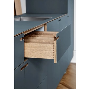 Mejor precio moderno estilo americano Modular MDF armarios de cocina al aire libre caja de madera contrachapada de tamaño personalizado cubierta acrílica SangVi PlyBox - Product Image 2
