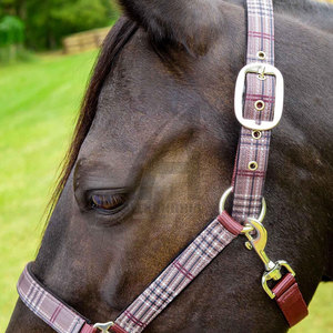 Collar protector para caballos, halter grueso para equitación, el mejor fabricante de halteres para caballos de Alexandria Industries - Product Image 2