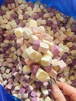 Groothandel Gefreeze-droogde Yoghurtblokjes met Fruit Smaken, Knapperige Yoghurtblokken, Bulkverpakking, Exportkwaliteit - Mevr. Tarina