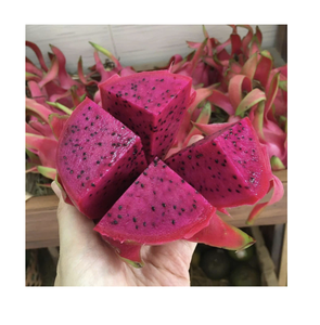 Fruta de dragón congelada en rodajas Producto listo para usar Exportación - Product Image 1
