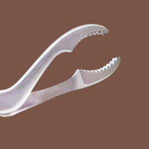 ชุดที่หนีบกระดูกและสัตวแพทย์5ชิ้นพร้อมแคลมป์ยึดขากรรไกร10.75ชิ้น - Product Image 4