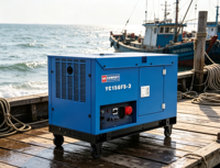 Générateurs diesel silencieux de 15 kW pour la maison, 20 kVA max, bicylindre en V, démarrage électrique, groupe électrogène diesel AVR, réservoir de 26 L, 230 V 400 V