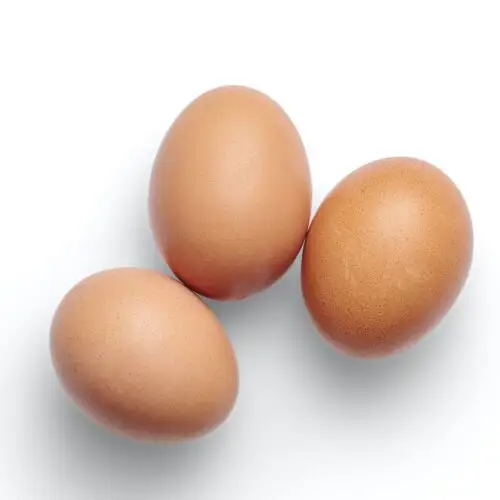 للبيع بالجملة متاح كميات كبيرة من بيض الدجاج الطازج المصنوع من القشرة البيضاء / البني