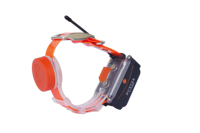 Collier GPS pour chien 4G ÉTANCHE pour la CHASSE avec carte SIM pour téléphone mobile ANDROID