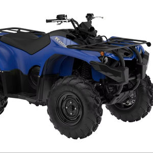 Vélo utilitaire Kodiak 450 neuf, ventes annuelles 2026 - Product Image 1