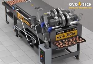 Lave-œufs en acier OVO-TECH MX-6 avec bande transporteuse en PU de qualité alimentaire, boîte de vitesses, pour la restauration commerciale et les boulangeries, 40-50 kW, 39 000 œufs/heure - Product Image 3