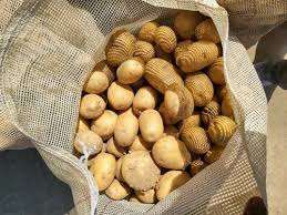 Pommes de terre de la nouvelle saison en gros 2026 – Prix abordable, légumes frais, exportation mondiale, pommes de terre délicieuses – Commandez dès maintenant - Product Image 3