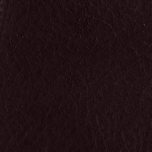 สีน้ำตาลเข้ม