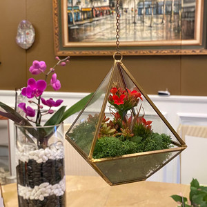GET0308GD Conteneur en verre et métal géométrique en forme de pyramide dorée - Terrarium suspendu de petite capacité - 8 - Product Image 2