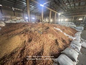 Rikaz Gomme arabique d'acacia de qualité supérieure-Additif alimentaire naturel pour applications agricoles - Product Image 5